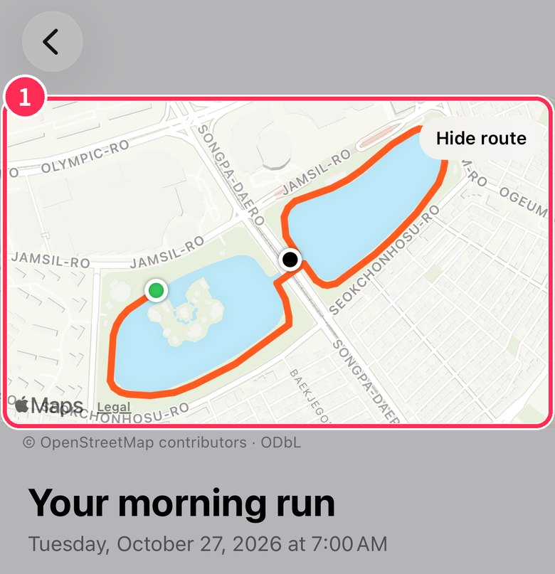 Route map at the top of run details